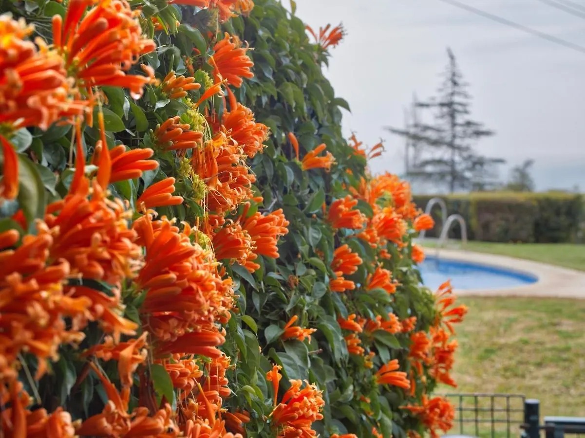 Lujo Y Relax Reserva Higueron Benalmadena Costa Por Key-Wise Torremuelle Spain